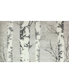 Tapeta 26-120