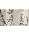 Tapeta 26-120