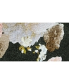 Tapeta 11-138